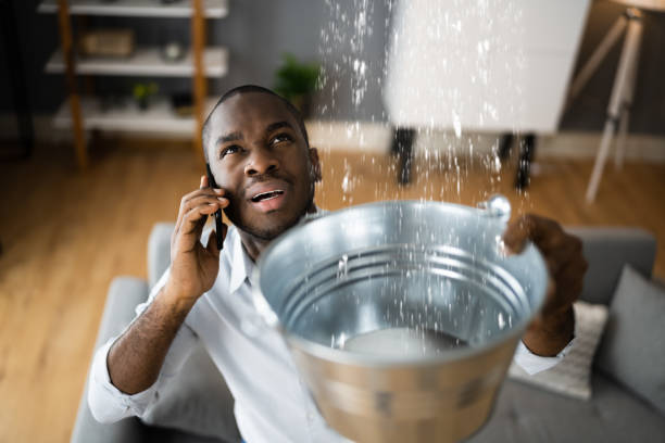 Best Commercial water damage restoration  in Mount Vernon, VA