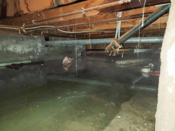 Best Water damage restoration insurance claims  in Mount Vernon, VA