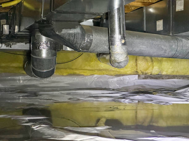 Best Fire Damage Restoration  in Mount Vernon, VA